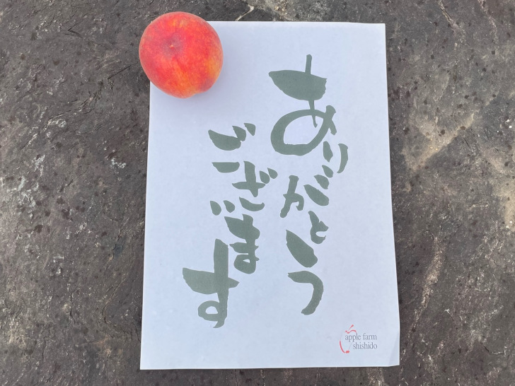 福島県福島市のりんご、もも果樹園アップルファーム宍戸の初桃「ふくおとめ
」を購入していただき本当にありがとうございます