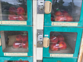 福島県福島市の桃・りんご農園アップルファーム宍戸の無人販売機で桃を売っているようすをアップ