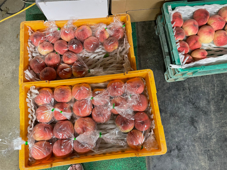 福島県福島市の桃・りんご農園「アップルファーム宍戸」の無人販売機で販売する家庭用の桃