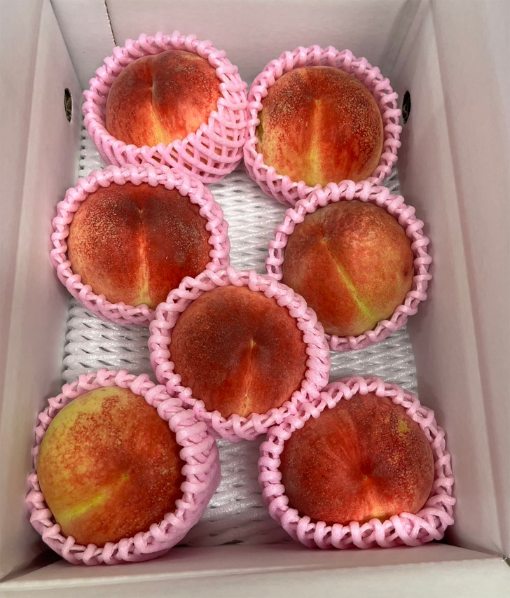 福島県福島市の桃・りんご農園「アップルファーム宍戸」の桃贈答品6個入を甥っ子にプレゼント