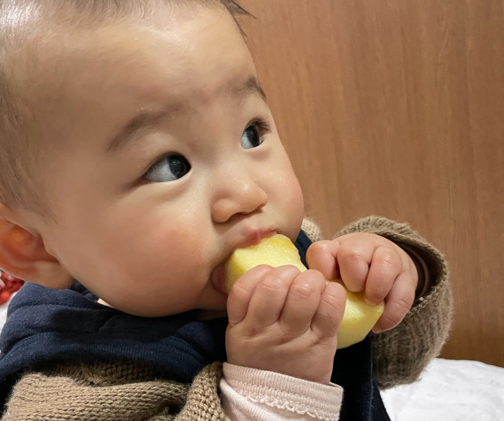 福島県福島市の桃・りんご農園「アプルファーム宍戸」から届いたりんご究極の蜜入りりんご『こうとく』が大好きな娘