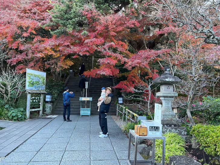 祈りと彩りの花浄土。鎌倉「長谷寺」の長い階段