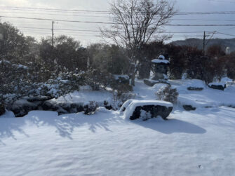 福島県福島市にある嫁さんの実家で冬の庭を撮影