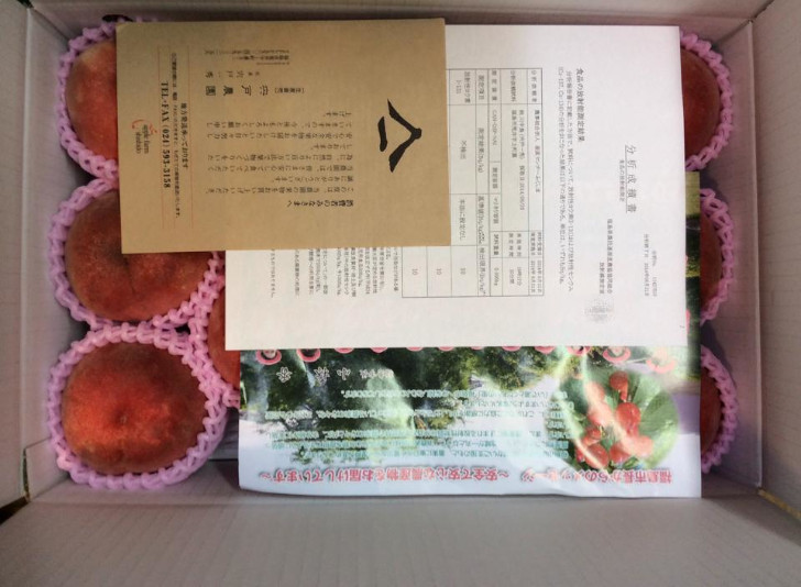 福島市の桃・リンゴ農園アップルファーム宍戸の贈答用上質な桃