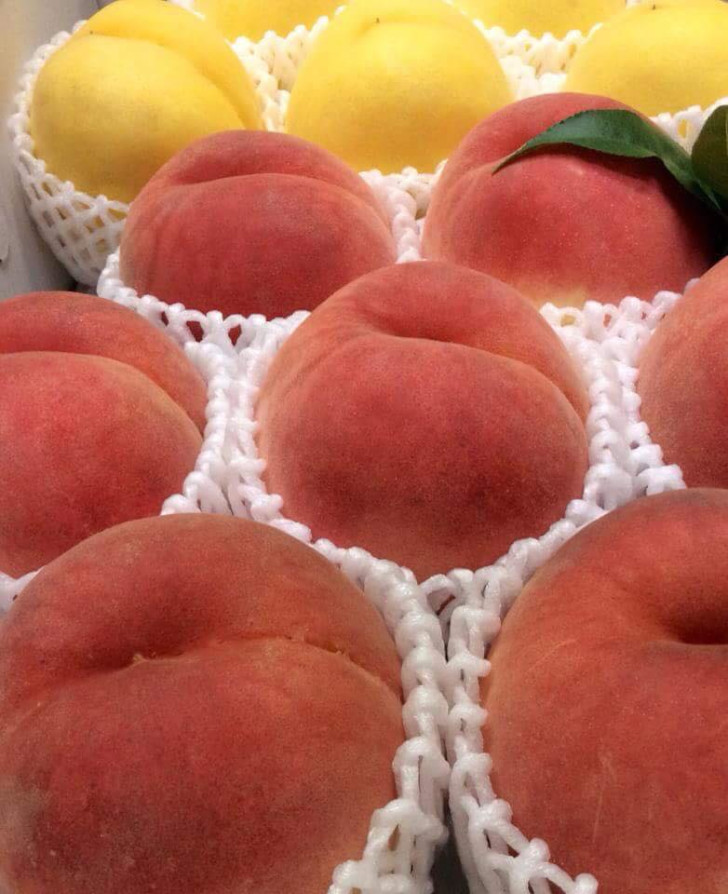 福島市の桃・リンゴ農園アップルファーム宍戸では色々な品種の桃を育てています