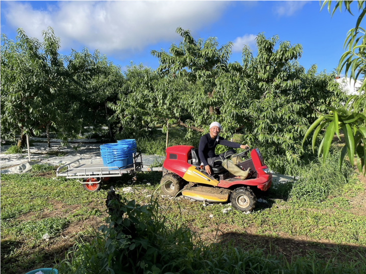 福島県福島市の桃・りんご農園「アップルファーム宍戸」の収穫した桃を運ぶ運搬車